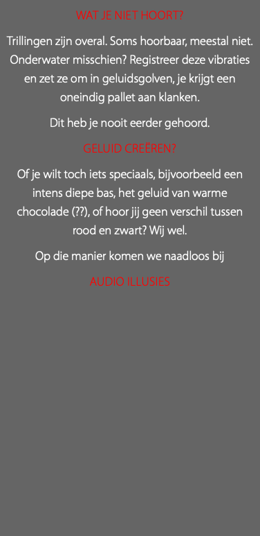 Wat je niet hoort? Trillingen zijn overal. Soms hoorbaar, meestal niet. Onderwater misschien? Registreer deze vibraties en zet ze om in geluidsgolven, je krijgt een oneindig pallet aan klanken. Dit heb je nooit eerder gehoord. Geluid Creëren? Of je wilt toch iets speciaals, bijvoorbeeld een intens diepe bas, het geluid van warme chocolade (??), of hoor jij geen verschil tussen rood en zwart? Wij wel. Op die manier komen we naadloos bij Audio Illusies 